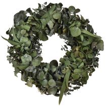 Artikel Eucalyptuskrans natuurlijke krans eucalyptus geconserveerd Ø35cm