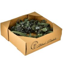 Artikel Eucalyptus natuurlijke krans Ø35cm geconserveerde geurende decoratie