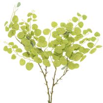 Artikel Decoratieve eucalyptustak, ideaal als tafeldecoratie, 120 cm