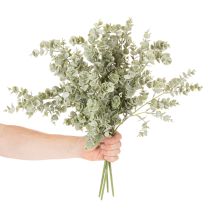 Artikel Kunstmatige eucalyptus tak, decoratieve tak voor vazen en boeketten, 49 cm, 4 stuks