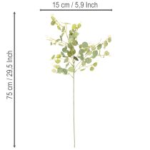 Artikel Kunstmatige eucalyptus tak met ronde bladeren, 75 cm, 4 stuks