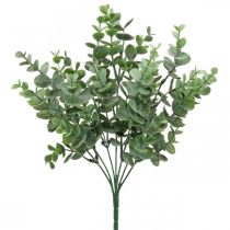 Eucalyptustak groen Kunsteucalyptusdecoratie naar keuze 36cm