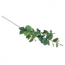 Artikel Eucalyptustak kunst eucalyptus groen 64cm