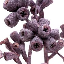 Artikel Eucalyptus tak braam frosted 25 stuks