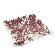 Artikel Eucalyptus takken rood gematteerd natuurlijke decoratie exotisch 25 stuks