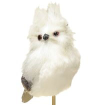 Artikel Uil op de stok wit 9cm L48cm