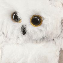 Artikel Uildecoratie uilenfiguren om op te hangen wit grijs 6cm 4st