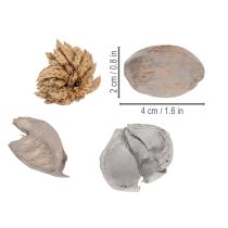 Artikel Potpourri tafeldecoratie met noten voor een natuurlijke zomerse sfeer.