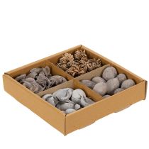 Artikel Potpourri tafeldecoratie met noten voor een natuurlijke zomerse sfeer.