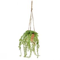 Artikel Kunstvetplanten in pot Sedum hangmand 34cm