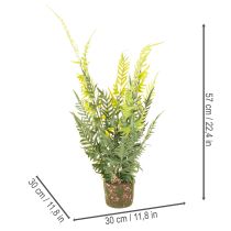 Artikel Kunstmatige varenplant met wortelkluit voor huis- en kantoordecoratie, 57 cm
