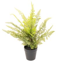 Artikel Kunstmatige varen in een pot voor kamergroen, 40 cm