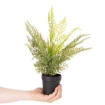 Artikel Kunstmatige varen in een pot voor kamergroen, 40 cm
