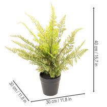 Artikel Kunstmatige varen in een pot voor kamergroen, 40 cm