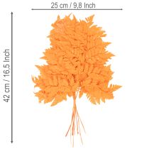 Artikel Gedroogde en geconserveerde varenbladeren voor bloemschikken en herfstdecoratie, 42 cm, 10 stuks