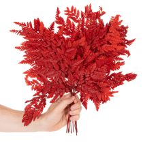 Artikel Geconserveerde en geverfde varenbladeren, echte varen voor herfstarrangementen, 42 cm, 10 stuks