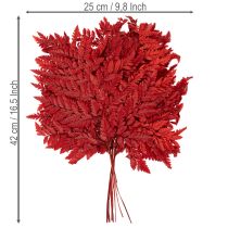 Artikel Geconserveerde en geverfde varenbladeren, echte varen voor herfstarrangementen, 42 cm, 10 stuks