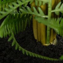 Artikel Kunstmatige varen in een plantenpot voor woonkamer en kantoor, 35 cm