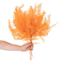 Artikel Varentak, geconserveerde varen, gedroogde decoratie voor bloemstukken, 60 cm, 10 stuks