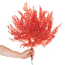Artikel Varens, geconserveerde gedroogde bloemen, herfstdecoratie, 60 cm, 10 stuks