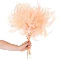 Artikel Gedroogde varenbladeren, varendecoratie voor vazen, 60 cm, 10 stuks