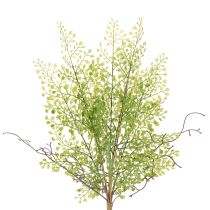 Artikel Kunstmatige groene Ruscus-tak voor bloemversiering, 41 cm