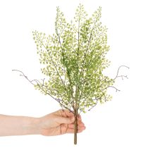 Artikel Kunstmatige groene Ruscus-tak voor bloemversiering, 41 cm