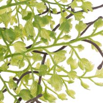 Artikel Kunstmatige groene Ruscus-tak voor bloemversiering, 41 cm