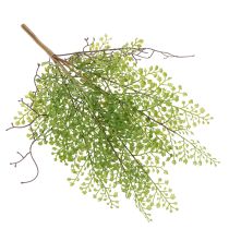 Artikel Kunstmatige groene Ruscus-tak voor bloemversiering, 41 cm