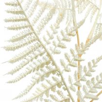 Decoratieve bladvaren, kunstplant, varentak, decoratief varenblad wit L59cm