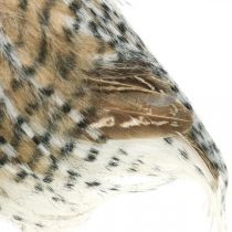 Artikel Bosuil, herfstdecoratie, decoratieve uil, Halloween H16cm