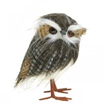 Uil om te versieren, herfst, decoratieve vogel, bosdecoratie H21cm