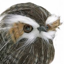 Uil om te versieren, herfst, decoratieve vogel, bosdecoratie H21cm
