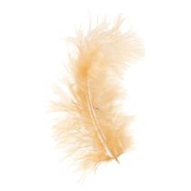Artikel Veren oranje voor paasknutselwerkjes in de lente 5-10 cm 20 g