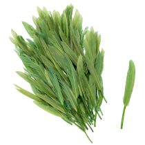 Artikel Decoratieve veren voor een stijlvolle sfeer en indrukwekkende decoraties (10 cm).