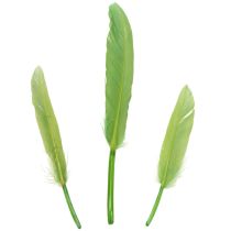 Artikel Decoratieve veren voor een stijlvolle sfeer en indrukwekkende decoraties (10 cm).