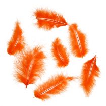 Artikel Veren kort 30g Oranje
