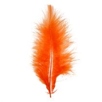 Artikel Veren kort 30g Oranje