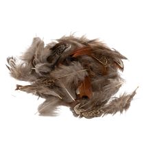 Artikel Veertjes voor veelzijdige knutselideeën, creatieve ontwerp- en decoratie-ideeën, 5 cm, 3 g