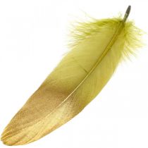Veren voor knutselen Deco veren Groen-Goud L16-20cm 24st