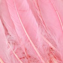 Artikel Veren voor handwerk Roze ganzenveren 18 cm - 20 cm 20 g x 2 stuks