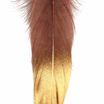 Veren bordeaux, goud 18-23cm 24st