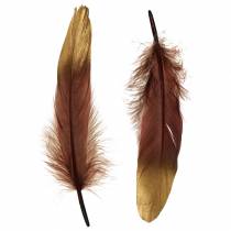 Veren bordeaux, goud 18-23cm 24st