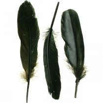 Decoratieve veren zwarte vogelveren om te knutselen 14-17cm 20g