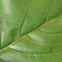 Artikel Kunstmatige Ficus lyrata 120 cm, decoratief voor de woonkamer