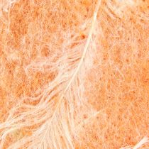 Artikel Vilten lint wollint decoratiestof oranje veren wolvilt 15cm 5m