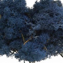Deco mos blauw droog mos voor knutselen gekleurd 500g