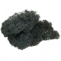 Deco mos zwart geconserveerd rendiermos voor knutselen 400g