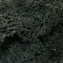 Decoratieve mos Zwart Conserveert Rendiermos voor handwerk 400g