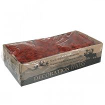 Artikel Decoratief Mos Rood Siena Natuurlijk Mos voor Ambachten Gedroogd, Geverfd 500g